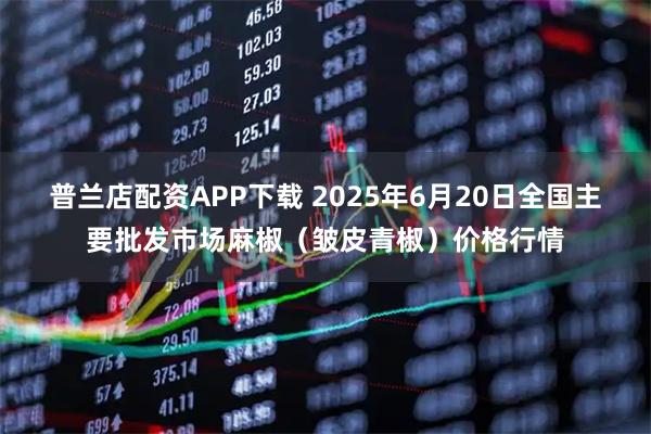 普兰店配资APP下载 2025年6月20日全国主要批发市场麻椒（皱皮青椒）价格行情