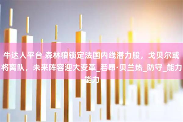 牛达人平台 森林狼锁定法国内线潜力股，戈贝尔或将离队，未来阵容迎大变革_若昂·贝兰热_防守_能力