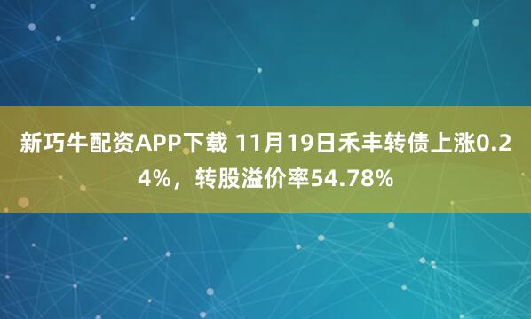新巧牛配资APP下载 11月19日禾丰转债上涨0.24%，转股溢价率54.78%