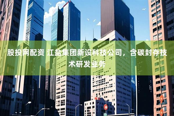 股投网配资 江盐集团新设科技公司，含碳封存技术研发业务