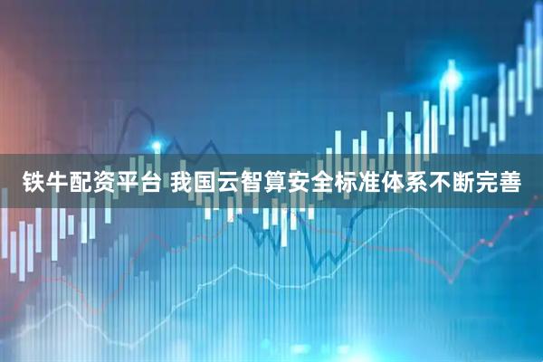 铁牛配资平台 我国云智算安全标准体系不断完善