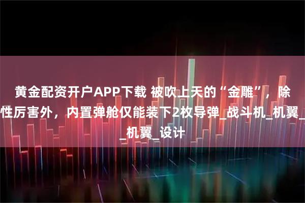 黄金配资开户APP下载 被吹上天的“金雕”，除机动性厉害外，内置弹舱仅能装下2枚导弹_战斗机_机翼_设计